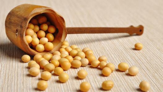 吃黃豆會(huì)發(fā)胖嗎