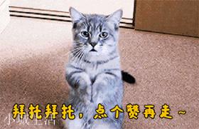 锅塌豆腐的简单做法是什么？