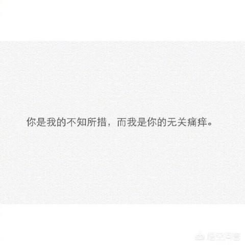 有没有什么特别有文采的句子？