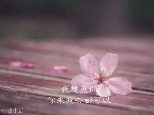 有没有什么特别有文采的句子？
