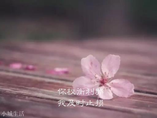 有没有什么特别有文采的句子？