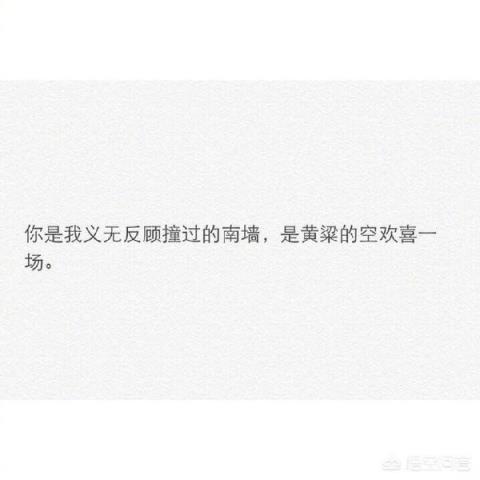 有没有什么特别有文采的句子？