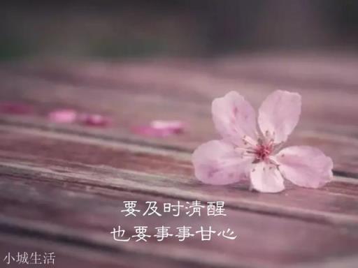 有没有什么特别有文采的句子？