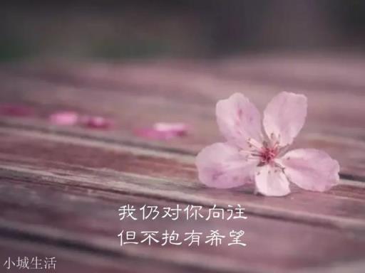 有没有什么特别有文采的句子？