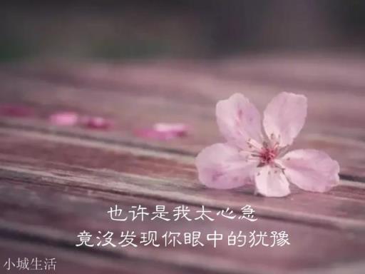 有没有什么特别有文采的句子？