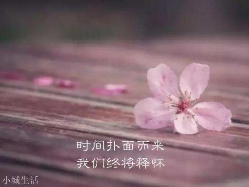 有没有什么特别有文采的句子？