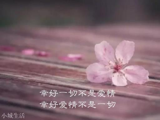 有没有什么特别有文采的句子？