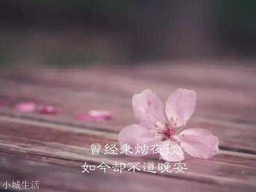 有没有什么特别有文采的句子？