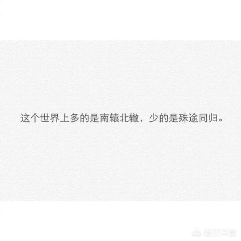 有没有什么特别有文采的句子？