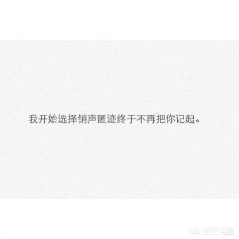 有没有什么特别有文采的句子？