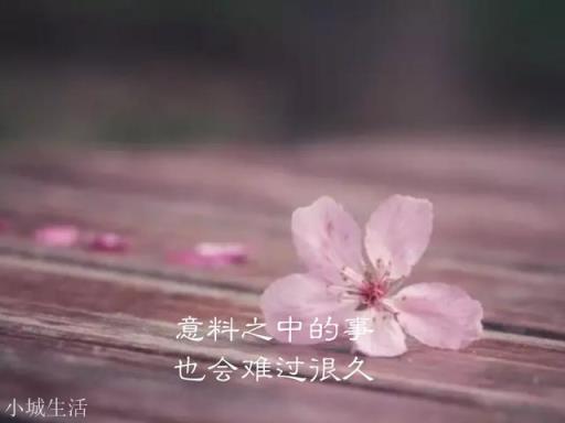 有没有什么特别有文采的句子？