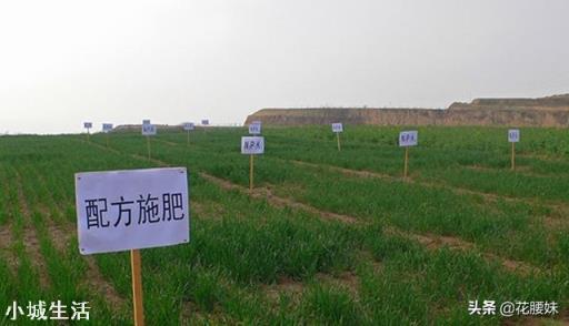 新菜地有什么方法可以培养肥力？