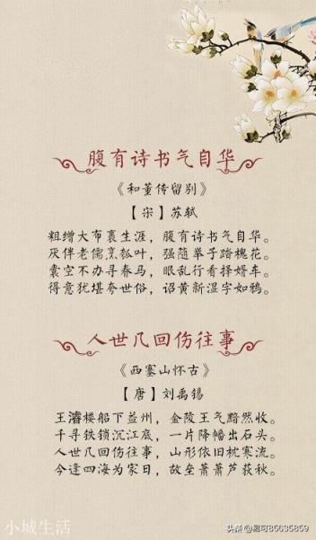 词句 有哪些前半句为大众所熟知，后半句却很少有人知道的诗句？