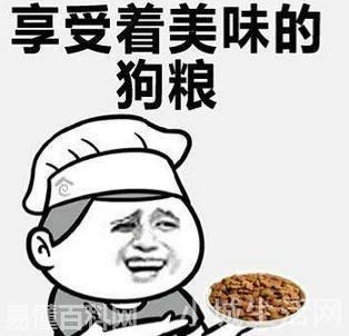 撒狗粮是什么意思(撒狗粮的网络用语是什么梗)