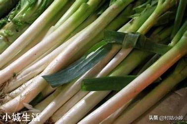 如何防止大葱葱白短,细,空?