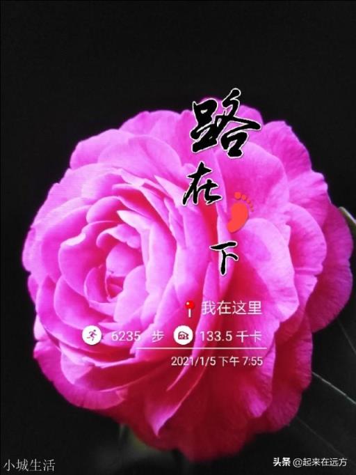 为什么一些外国人那么喜欢苏轼大诗人，有哪些点是很值得后人学习的？