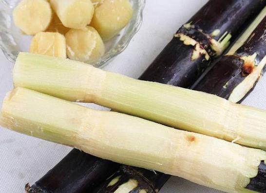 吃甘蔗口里起泡怎么办？甘蔗可以吃到肚子里吗
