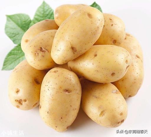 种土豆时,有人说土豆芽要朝上,也有人说应该朝下,具体的种植方法是什么呢?