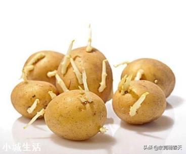 种土豆时,有人说土豆芽要朝上,也有人说应该朝下,具体的种植方法是什么呢?