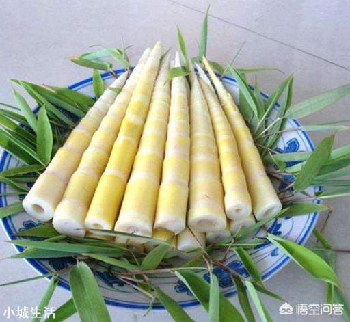 农村有什么好吃的菜？