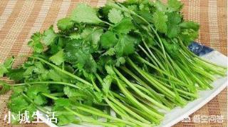 霜降之后可以种香菜吗？为什么？