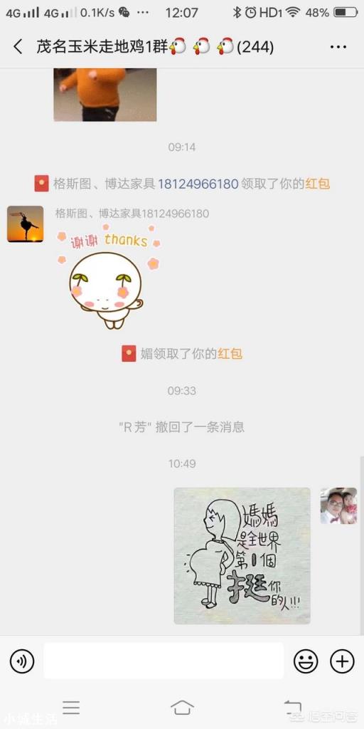 养鸡有哪些销售渠道？