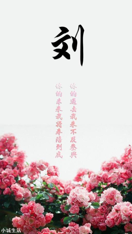 瑜伽和太极拳的健身效果有何不同？