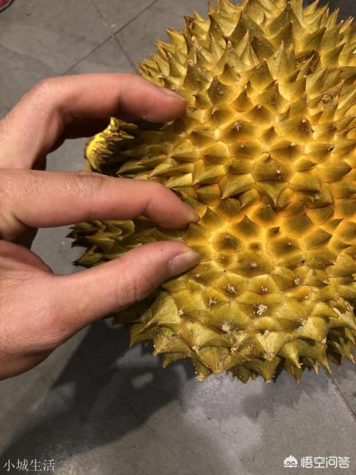 如何挑选榴莲？