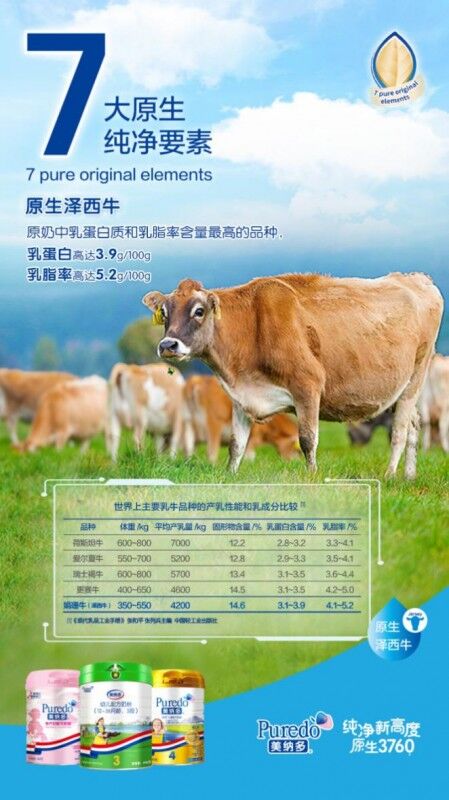 美纳多泽西牛助力奶粉高品质 哪里的进口奶源好