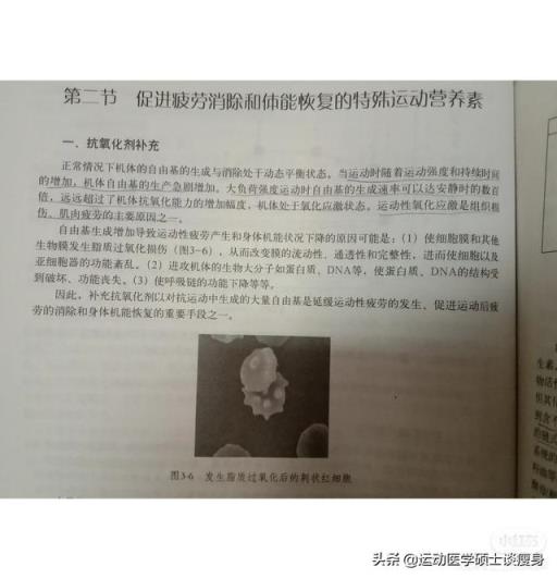 早上锻炼跑步好还是走路好？