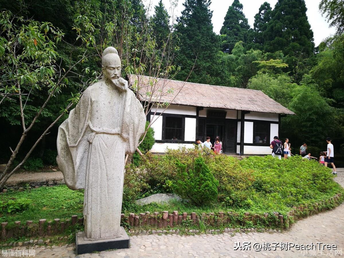 不解藏踪迹的解是什么意思(不解藏踪迹的解的网络用语是什么梗)