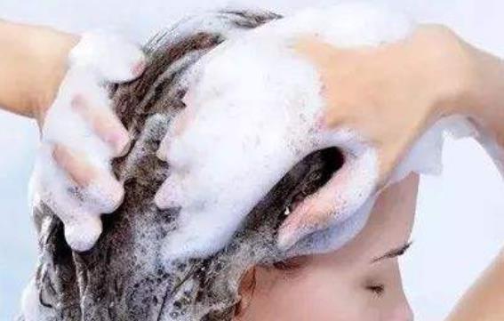 多吃海带能护发 护发四步走