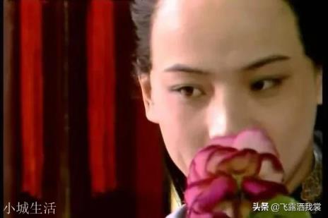 《红楼梦》袭人对宝钗有功,宝钗为何没保全袭人?