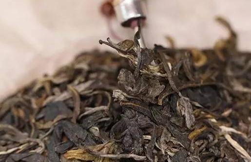 喝普洱茶头晕是怎么回事?喝普洱茶会有哪些不良反应?