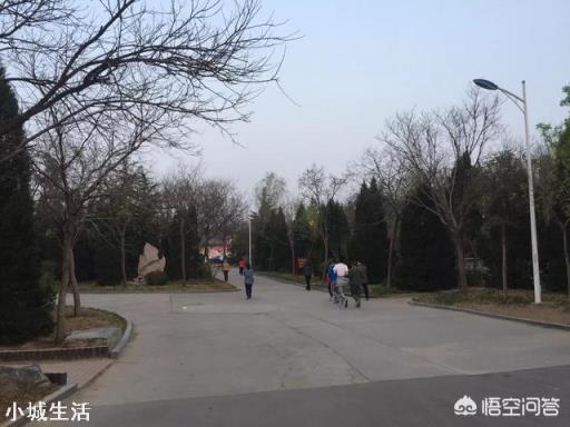 长期跑步的人，你们晨跑都是几点开始的？