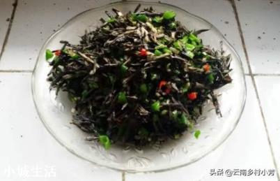 农村大山上新鲜采摘的干巴菌，怎么做才最好吃？