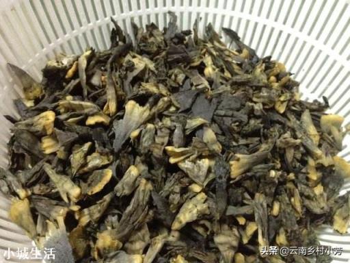 农村大山上新鲜采摘的干巴菌，怎么做才最好吃？