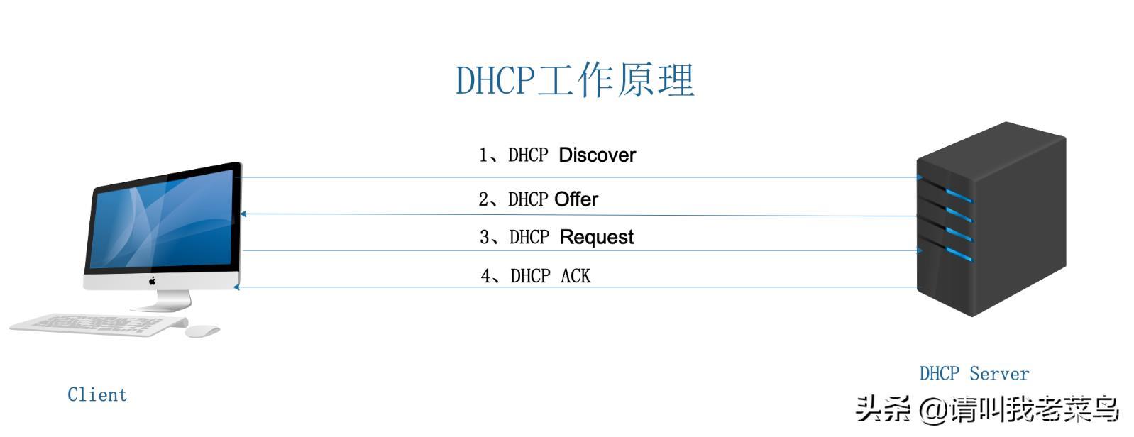 ?dhcp是什么意思(dhcp的网络用语是什么梗)