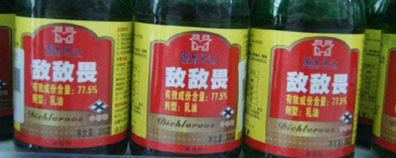 敌敌畏能治蟑螂吗