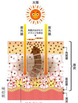 北京伊美尔健翔医院:玻尿酸除皱的价格