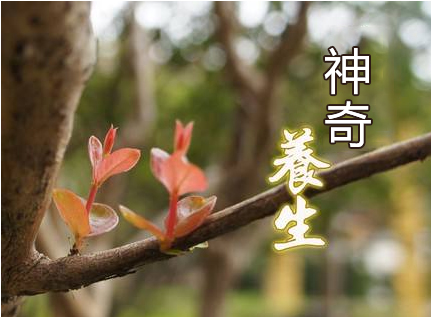 类胡萝卜素的作用是什么