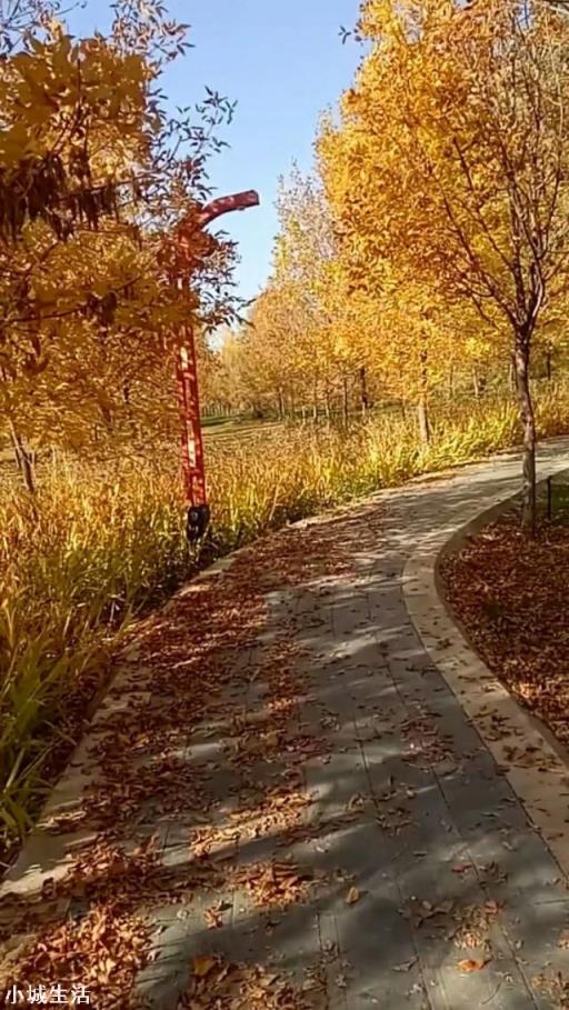 如果让你骑自行车来一次全国旅行，你会去吗，为什么？