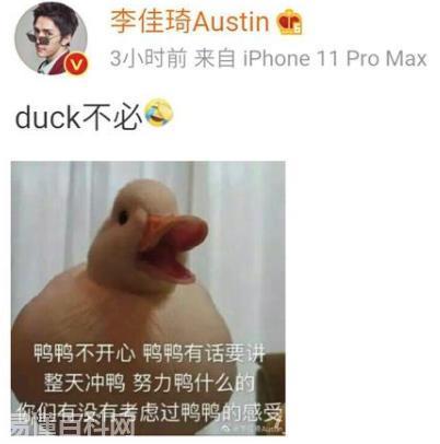 ?duck是什么意思(duck的网络用语是什么梗)