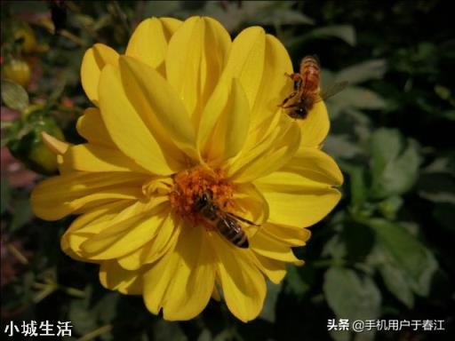 在农村参加完丧事酒席后，孝衣孝布该怎样处理才好？可直接带回家吗？