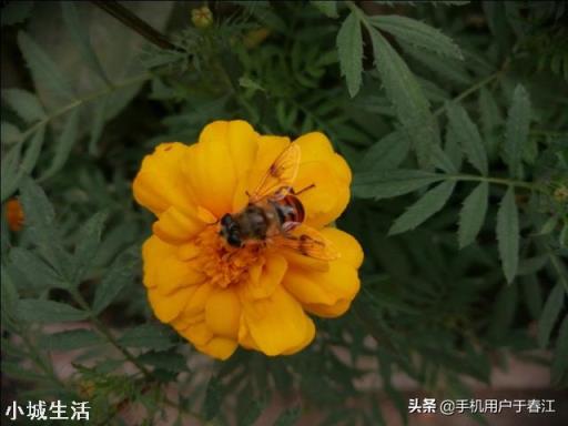 在农村参加完丧事酒席后，孝衣孝布该怎样处理才好？可直接带回家吗？