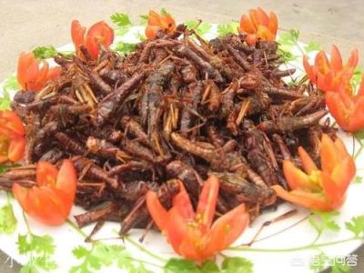 云南有哪些美食？