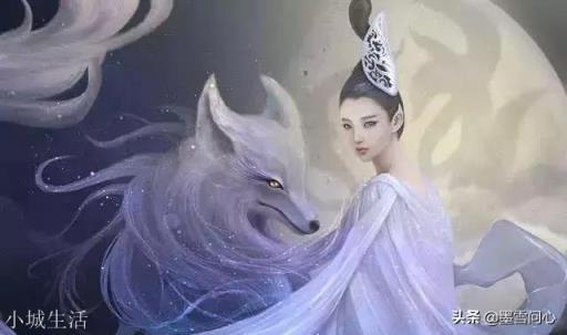 中国古代的神话故事中，青丘之狐和涂山之狐，究竟有什么区别？