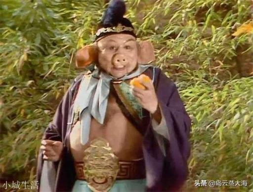 猪八戒和沙僧算是有背景的人吗？