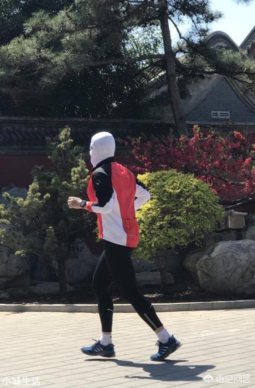 怎样实现土鸡养殖效益的最大化?