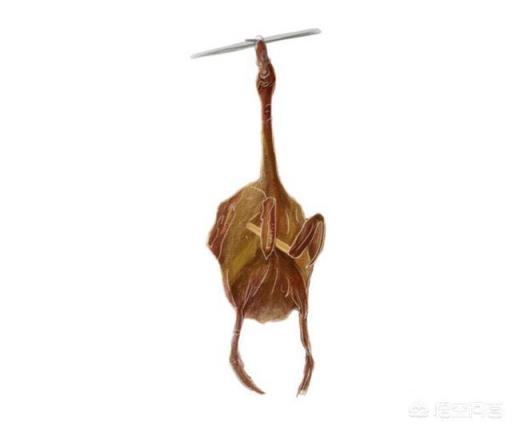 鸭的哪种做法最好吃？